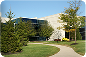 Commercial Ground Maintenance