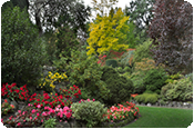 Domestic and Private Garden Maintenance